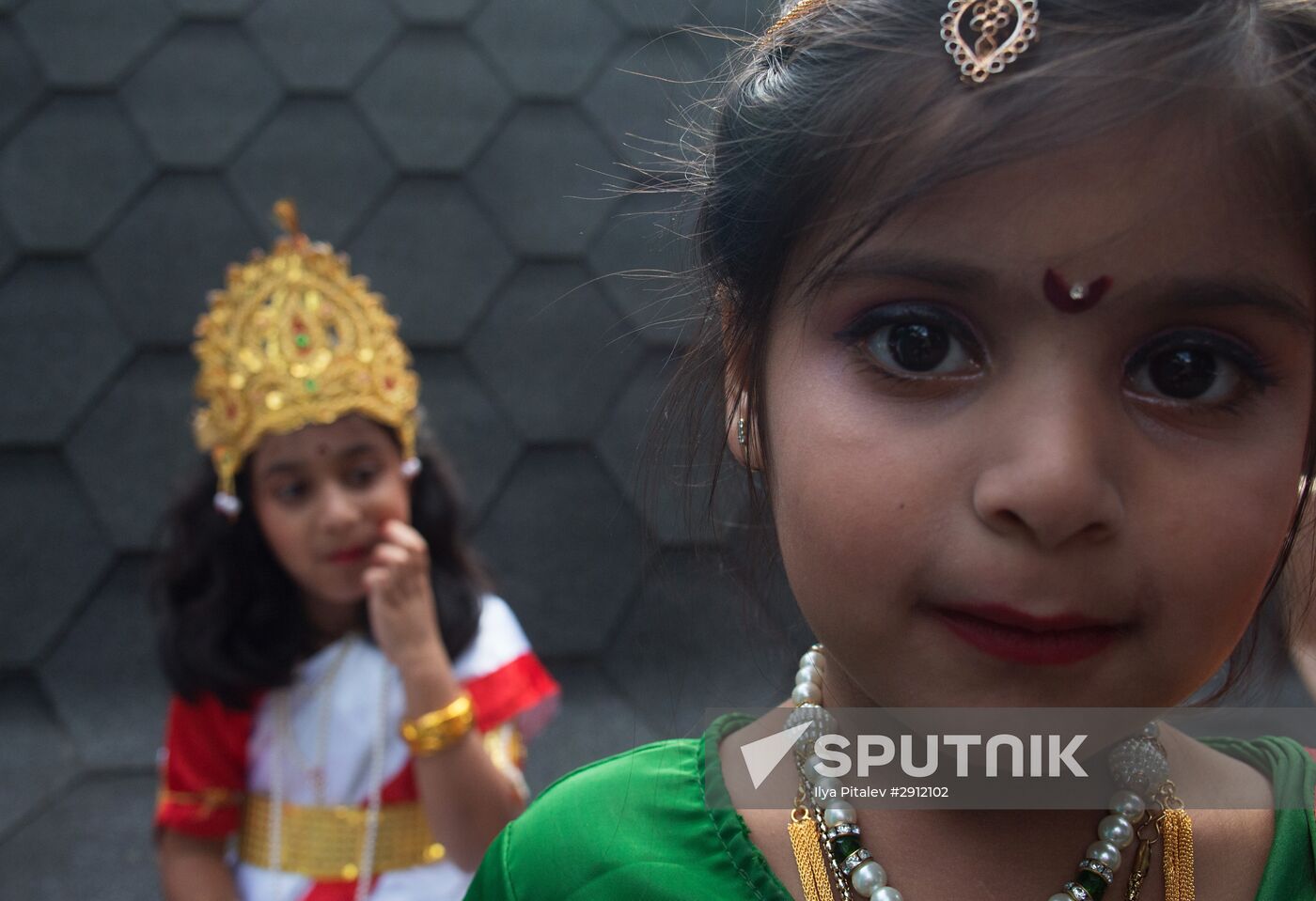 Indian Culture Fest 2016