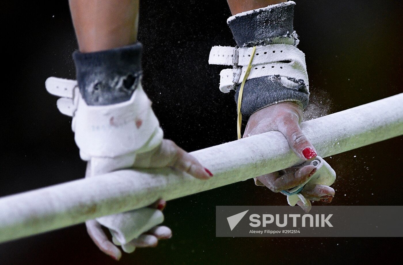 2016 Summer Olympics. Artistic gymnastics. Women. Uneven bars