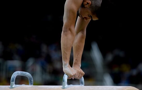2016 Summer Olympics. Artistic gymnastics. Men. Pommel horse