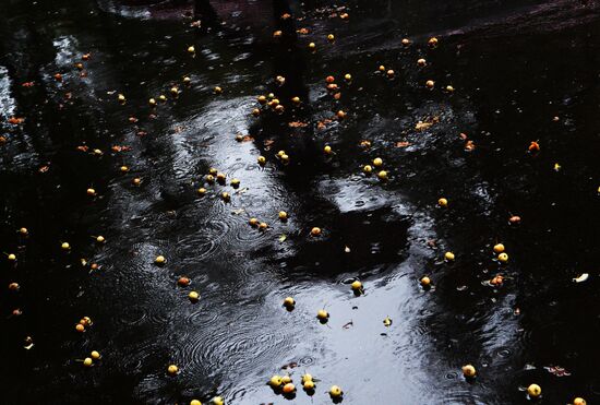 Rain in Moscow