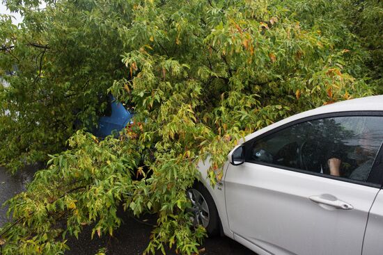 Rain in Moscow