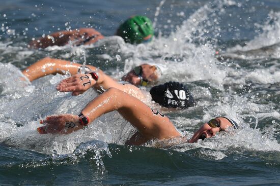 2016 Summer Olympics. Swimming. 10 km open water. Women