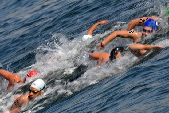 2016 Summer Olympics. Swimming. 10 km open water. Women