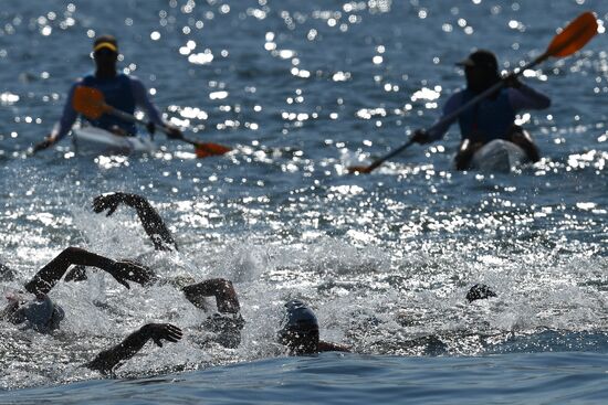 2016 Summer Olympics. Swimming. 10 km open water. Women