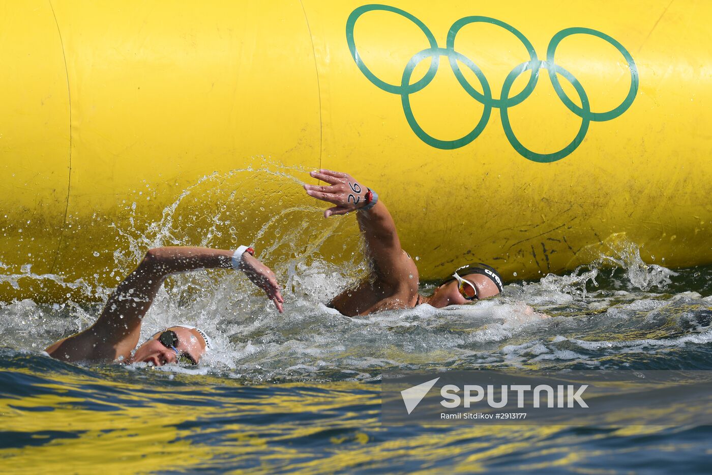 2016 Summer Olympics. Swimming. 10 km open water. Women