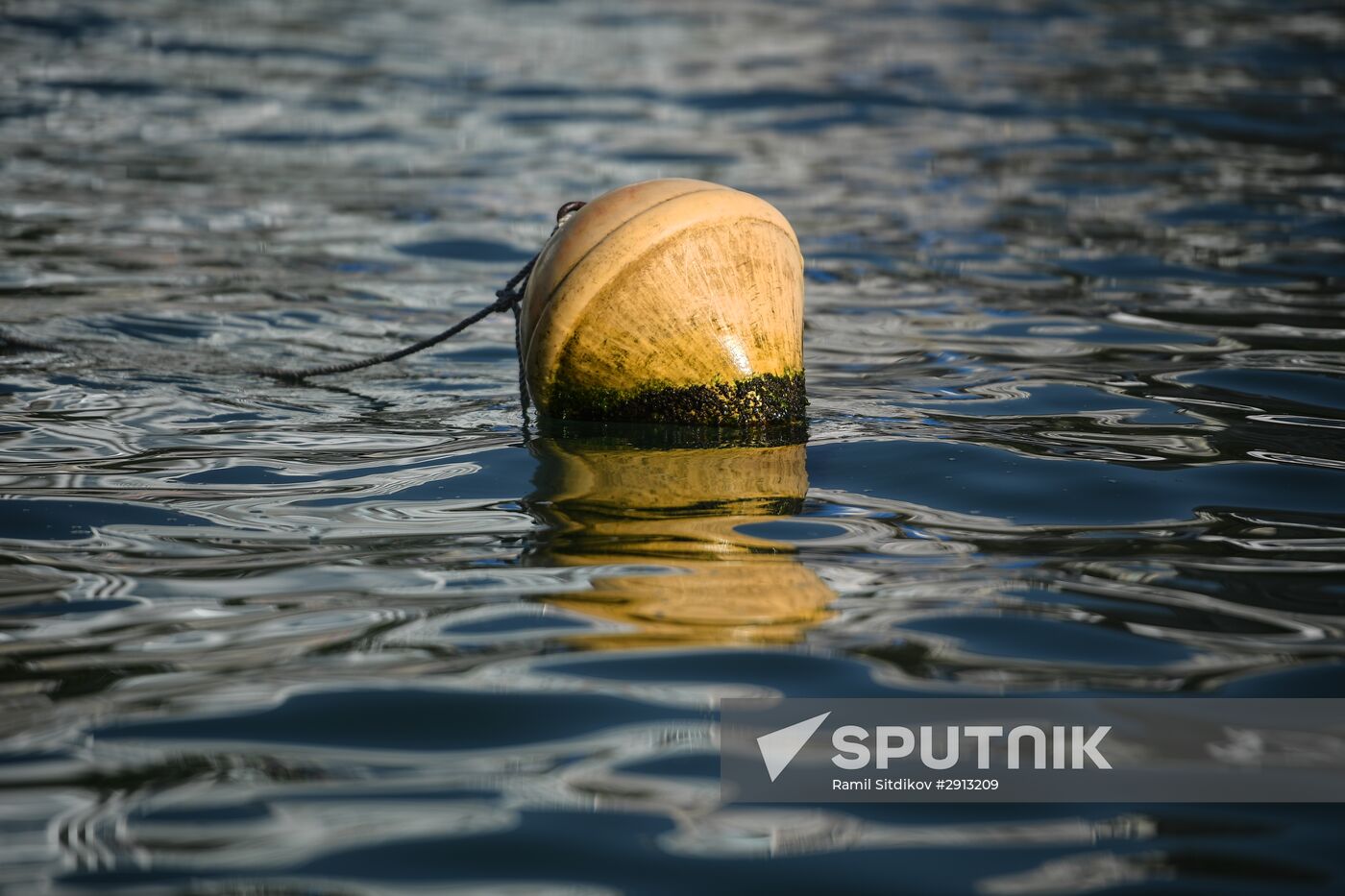 2016 Summer Olympics. Swimming. 10 km open water. Women