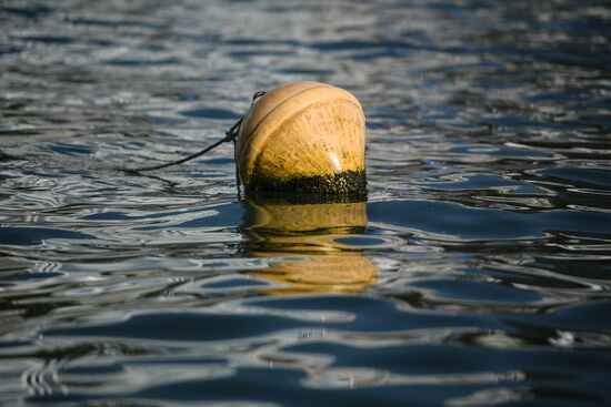 2016 Summer Olympics. Swimming. 10 km open water. Women