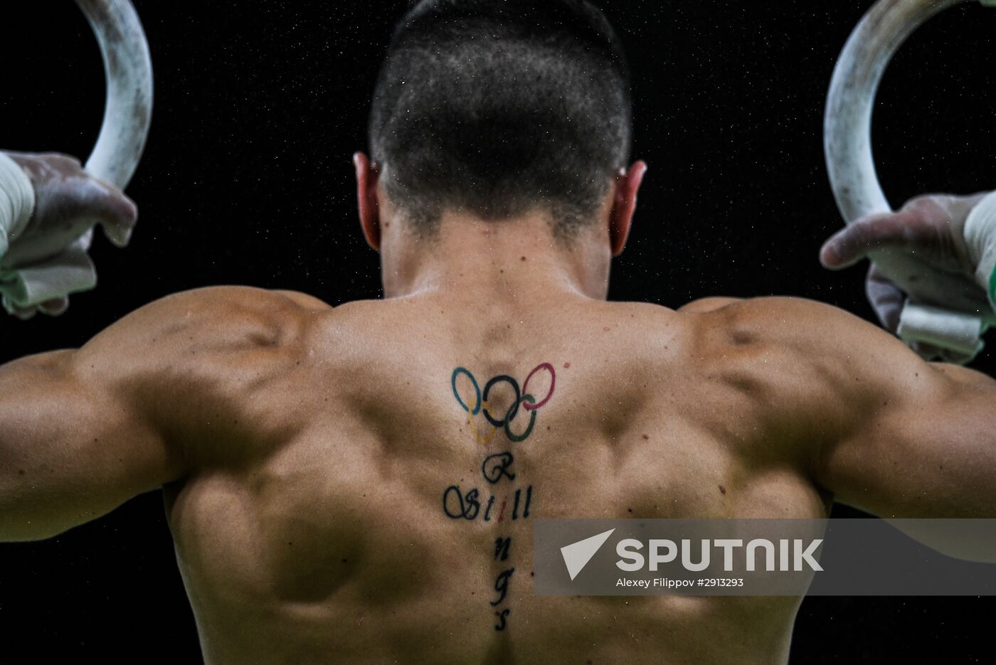 2016 Summer Olympics. Artistic gymnastics. Men's still rings