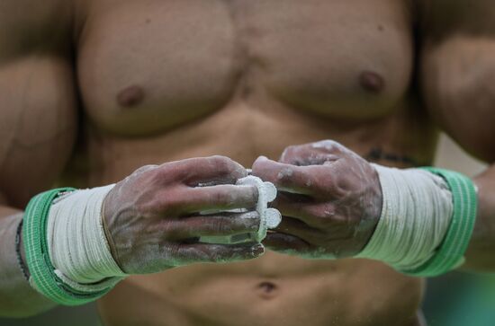 2016 Summer Olympics. Artistic gymnastics. Men's still rings