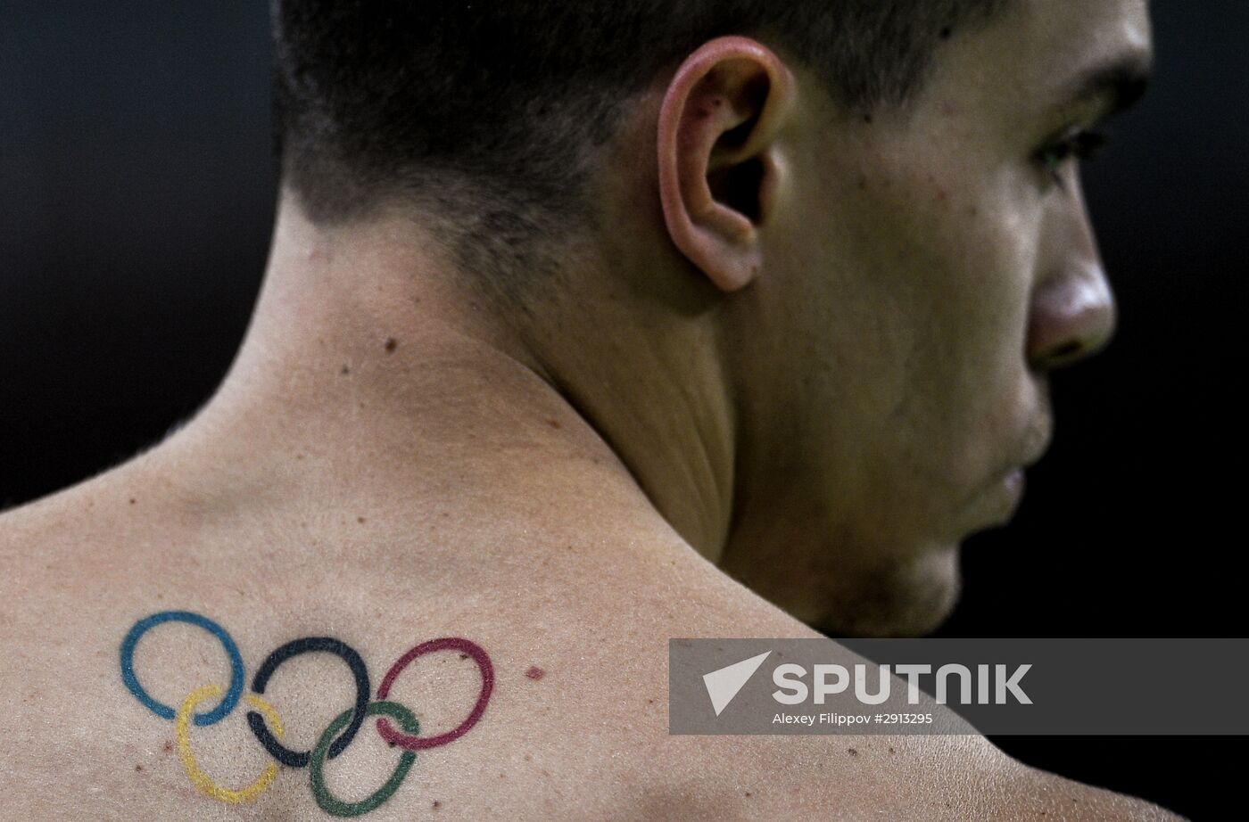 2016 Summer Olympics. Artistic gymnastics. Men's still rings