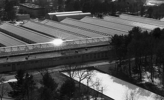 Greenhouses