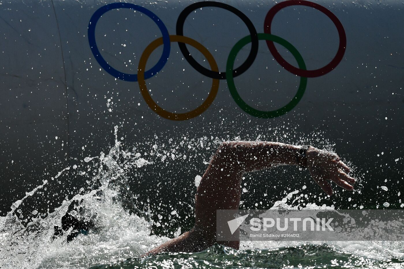 Summer Olympics 2016. Men's Swimming open water swimming