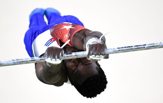 2016 Olympics. Artistic gymnastics. Men. Horizontal bar