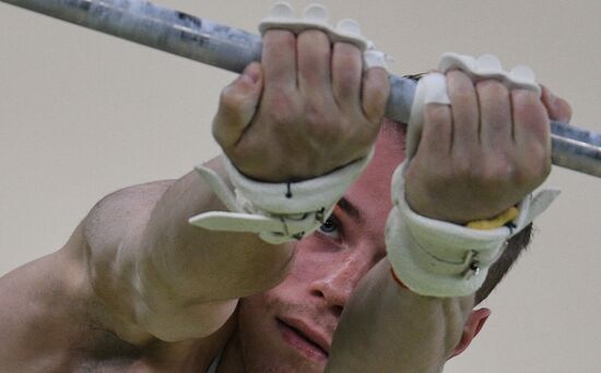 2016 Olympics. Artistic gymnastics. Men. Horizontal bar