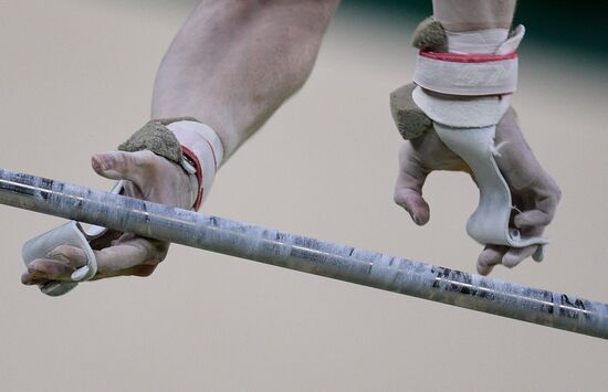 2016 Olympics. Artistic gymnastics. Men. Horizontal bar