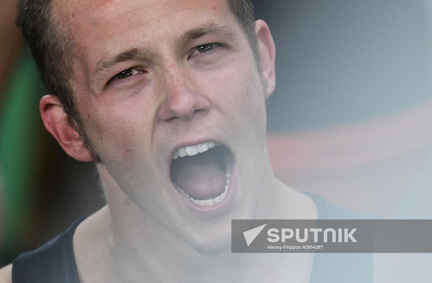 2016 Summer Olympics. Artistic gymnastics. Men. Horizontal bar