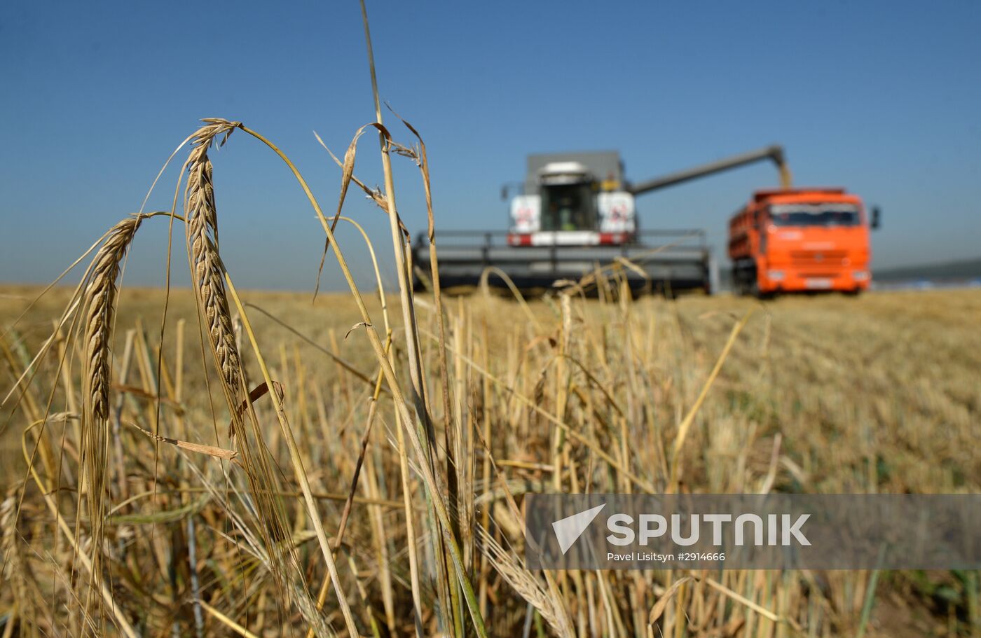 Crops harvesting in Sverdlovsk Region