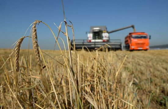 Crops harvesting in Sverdlovsk Region