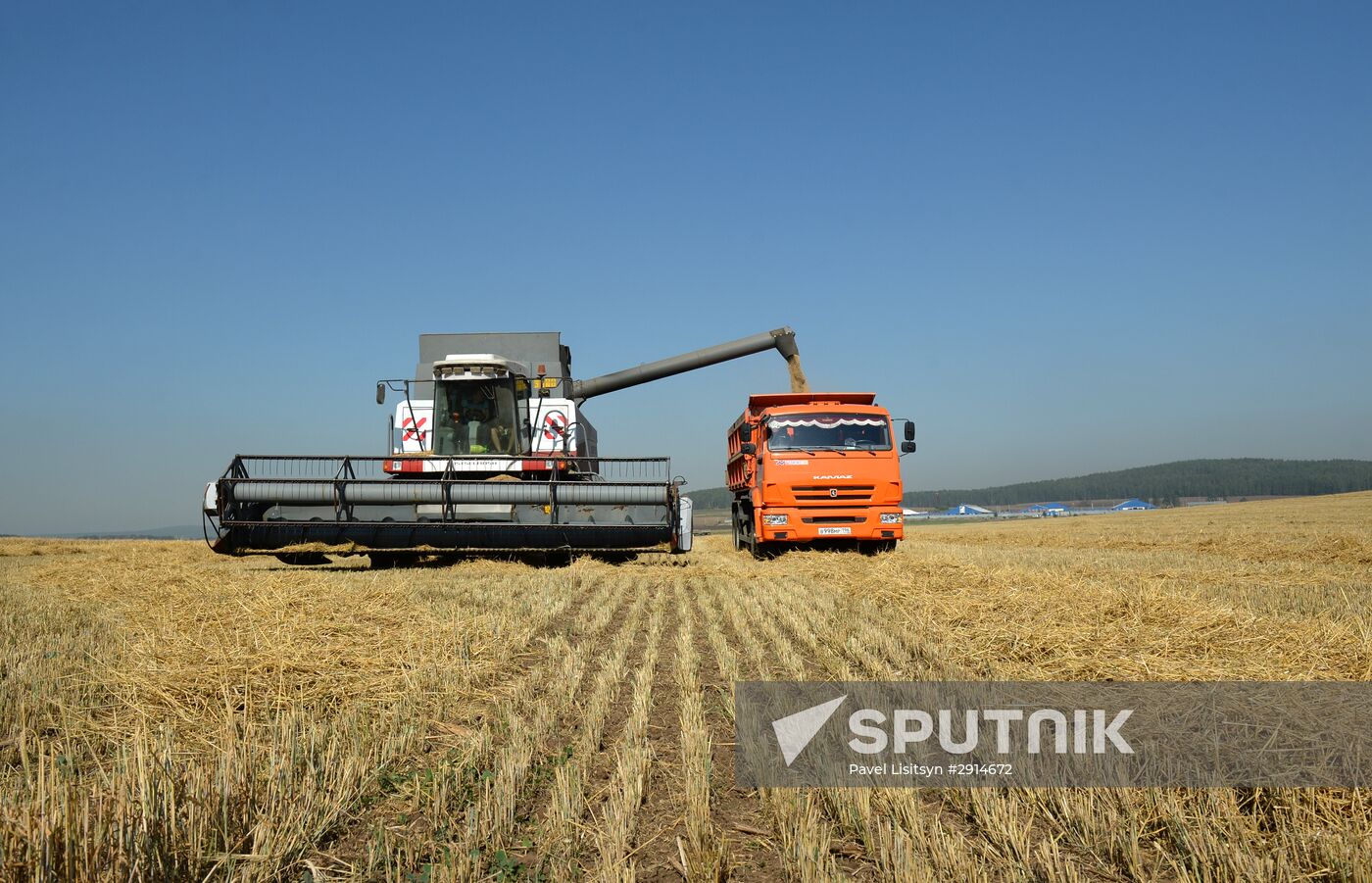 Crops harvesting in Sverdlovsk Region