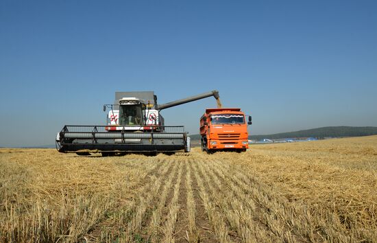 Crops harvesting in Sverdlovsk Region
