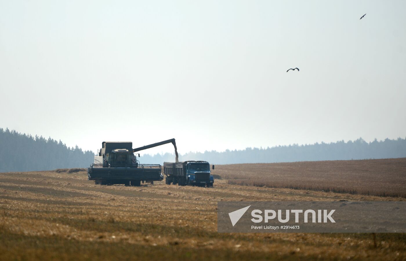 Crops harvesting in Sverdlovsk Region