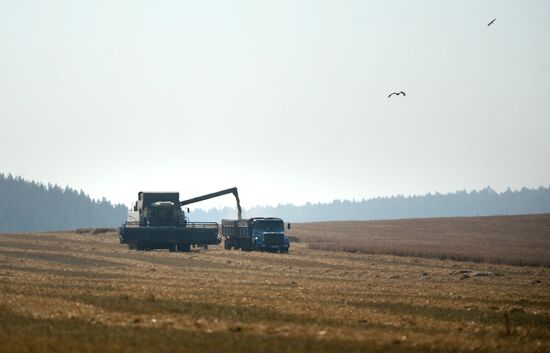 Crops harvesting in Sverdlovsk Region