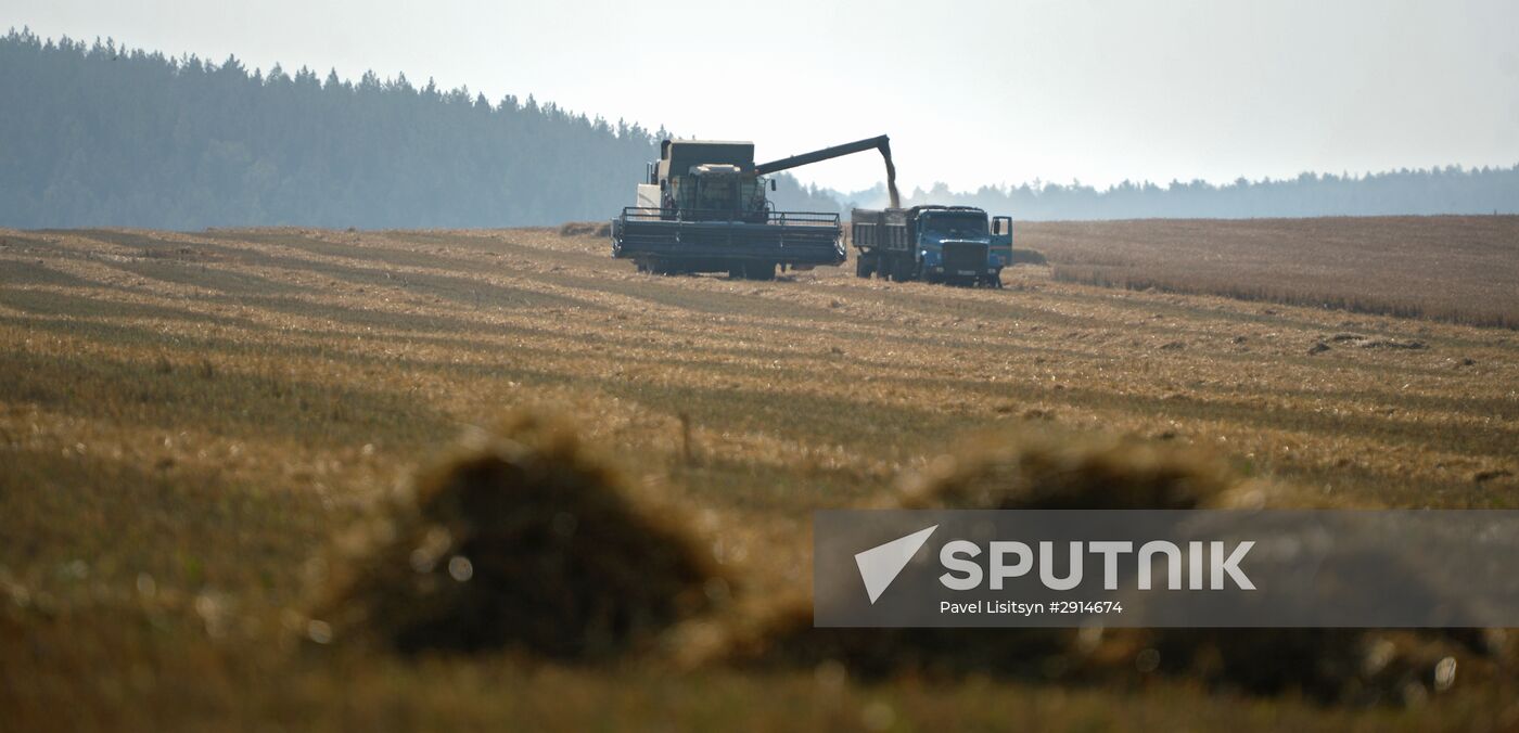 Crops harvesting in Sverdlovsk Region