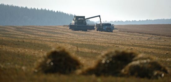 Crops harvesting in Sverdlovsk Region