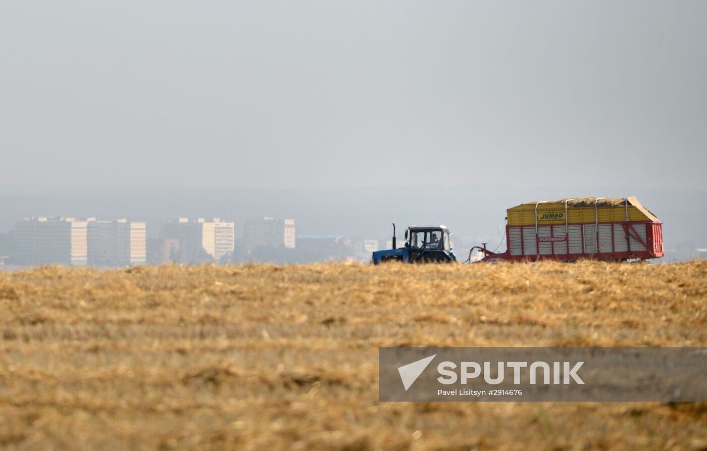 Crops harvesting in Sverdlovsk Region