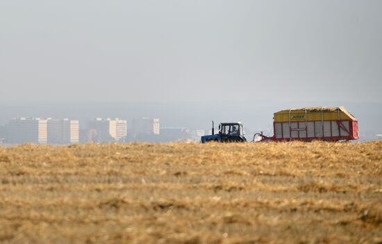 Crops harvesting in Sverdlovsk Region