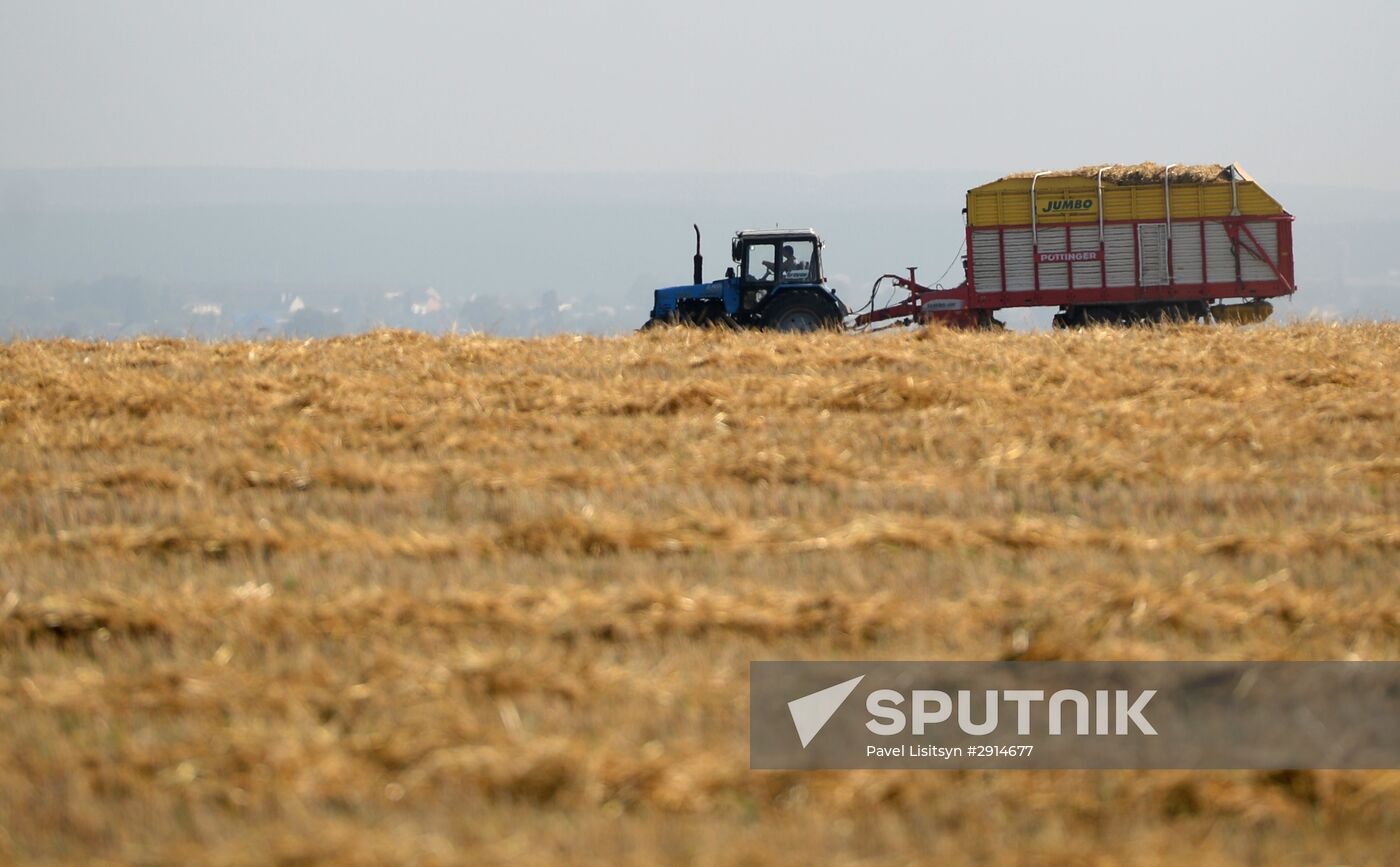 Crops harvesting in Sverdlovsk Region
