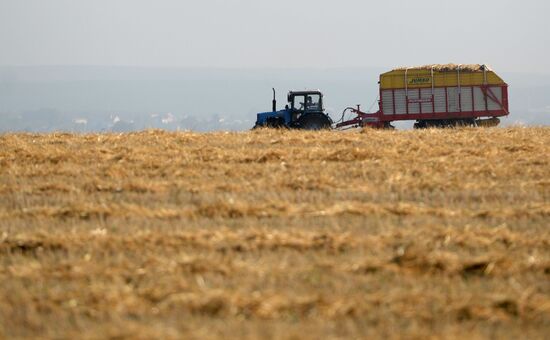 Crops harvesting in Sverdlovsk Region
