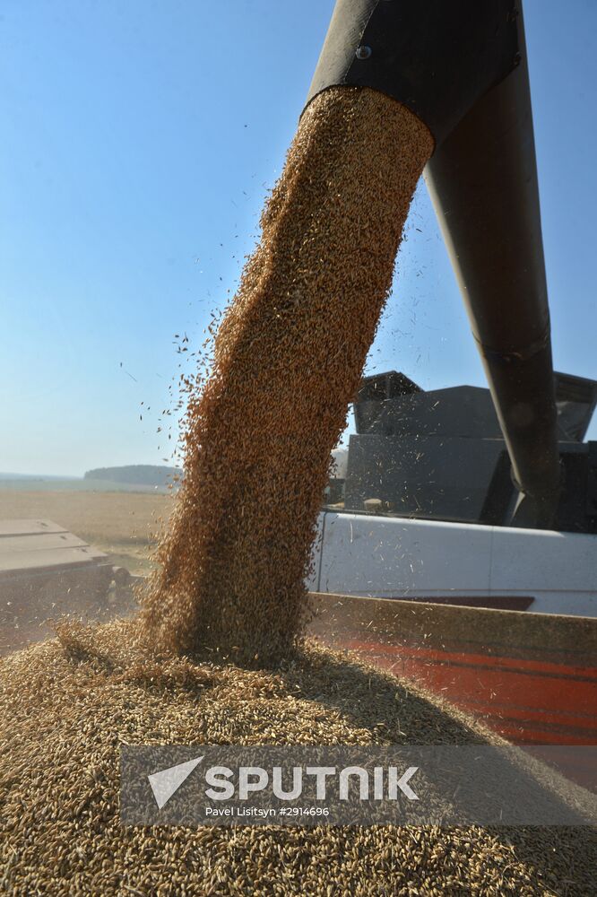 Crops harvesting in Sverdlovsk Region