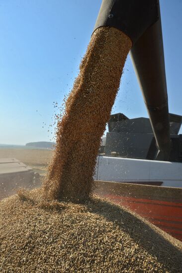 Crops harvesting in Sverdlovsk Region