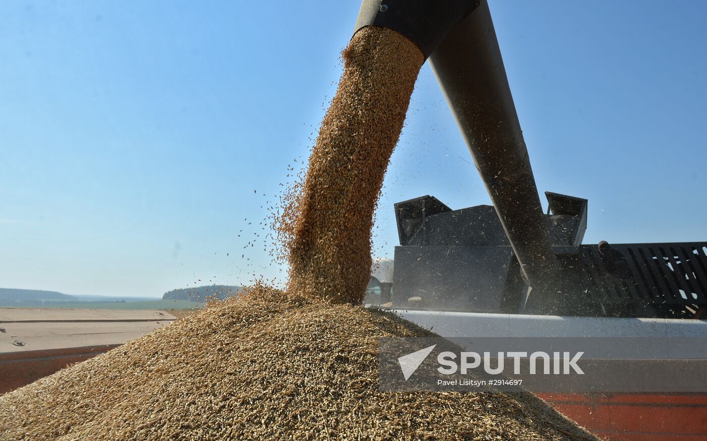 Crops harvesting in Sverdlovsk Region