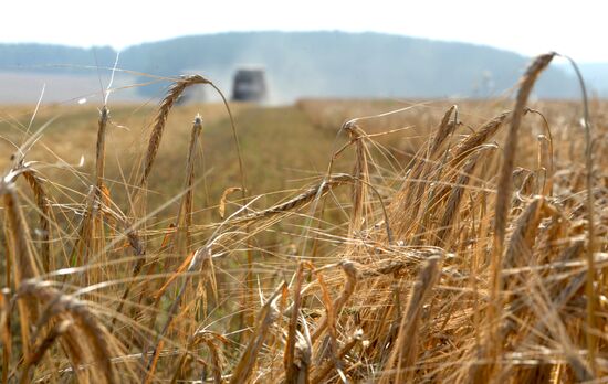 Crops harvesting in Sverdlovsk Region