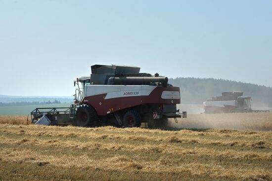 Crops harvesting in Sverdlovsk Region