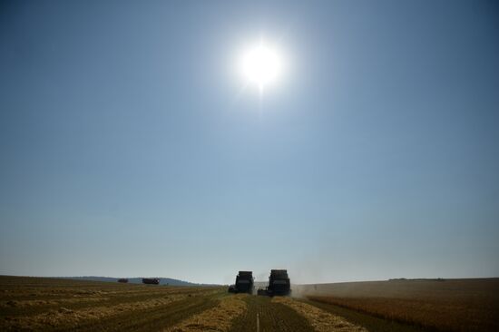 Crops harvesting in Sverdlovsk Region