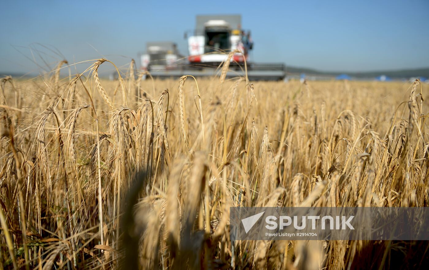 Crops harvesting in Sverdlovsk Region