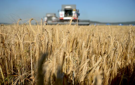 Crops harvesting in Sverdlovsk Region