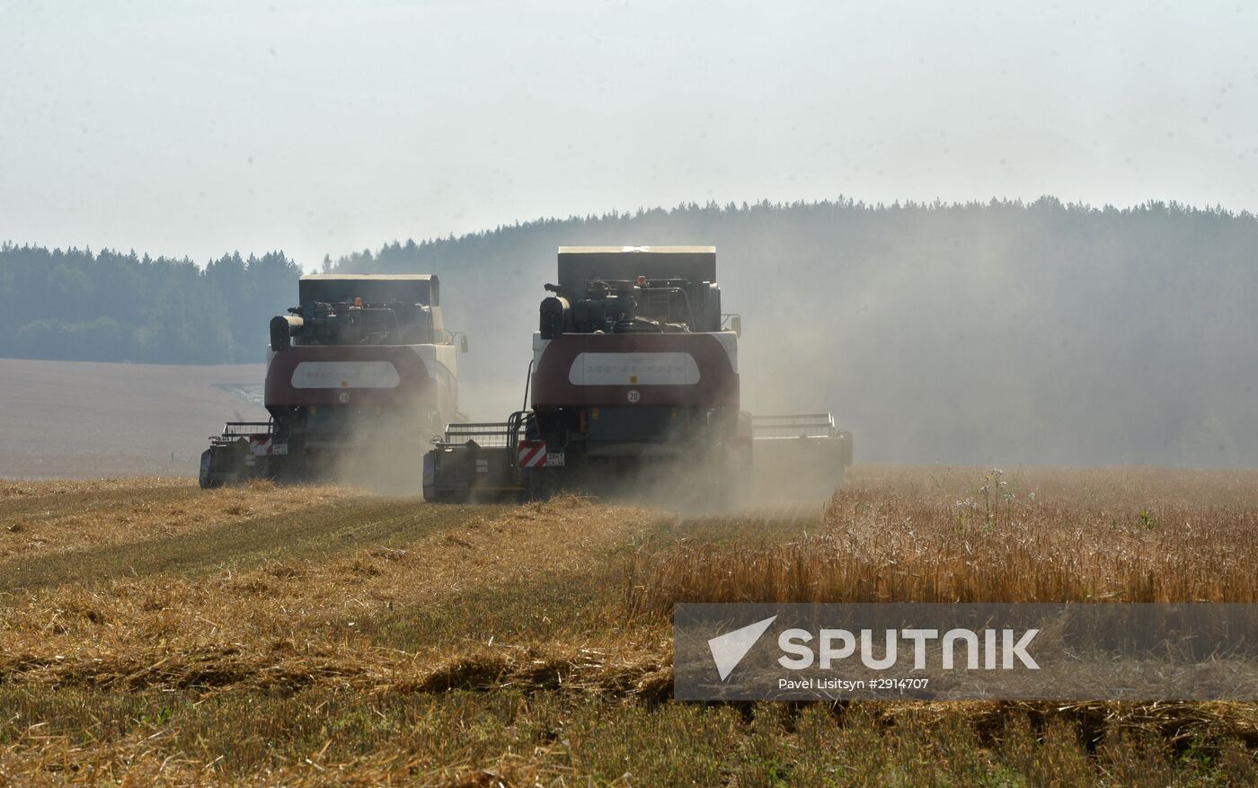 Crops harvesting in Sverdlovsk Region