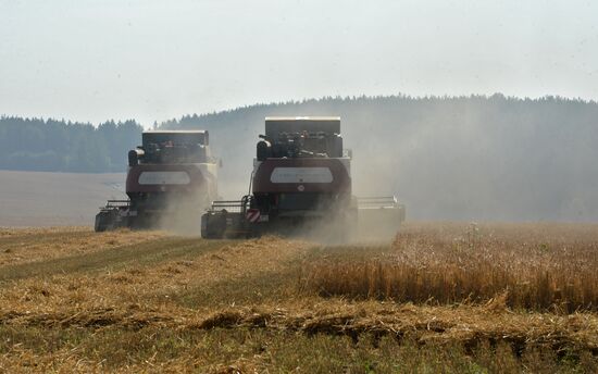 Crops harvesting in Sverdlovsk Region