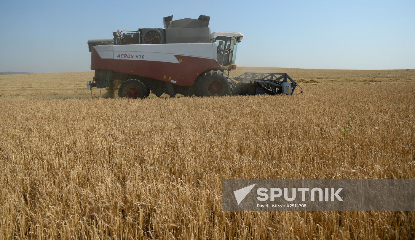 Crops harvesting in Sverdlovsk Region