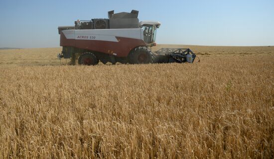 Crops harvesting in Sverdlovsk Region