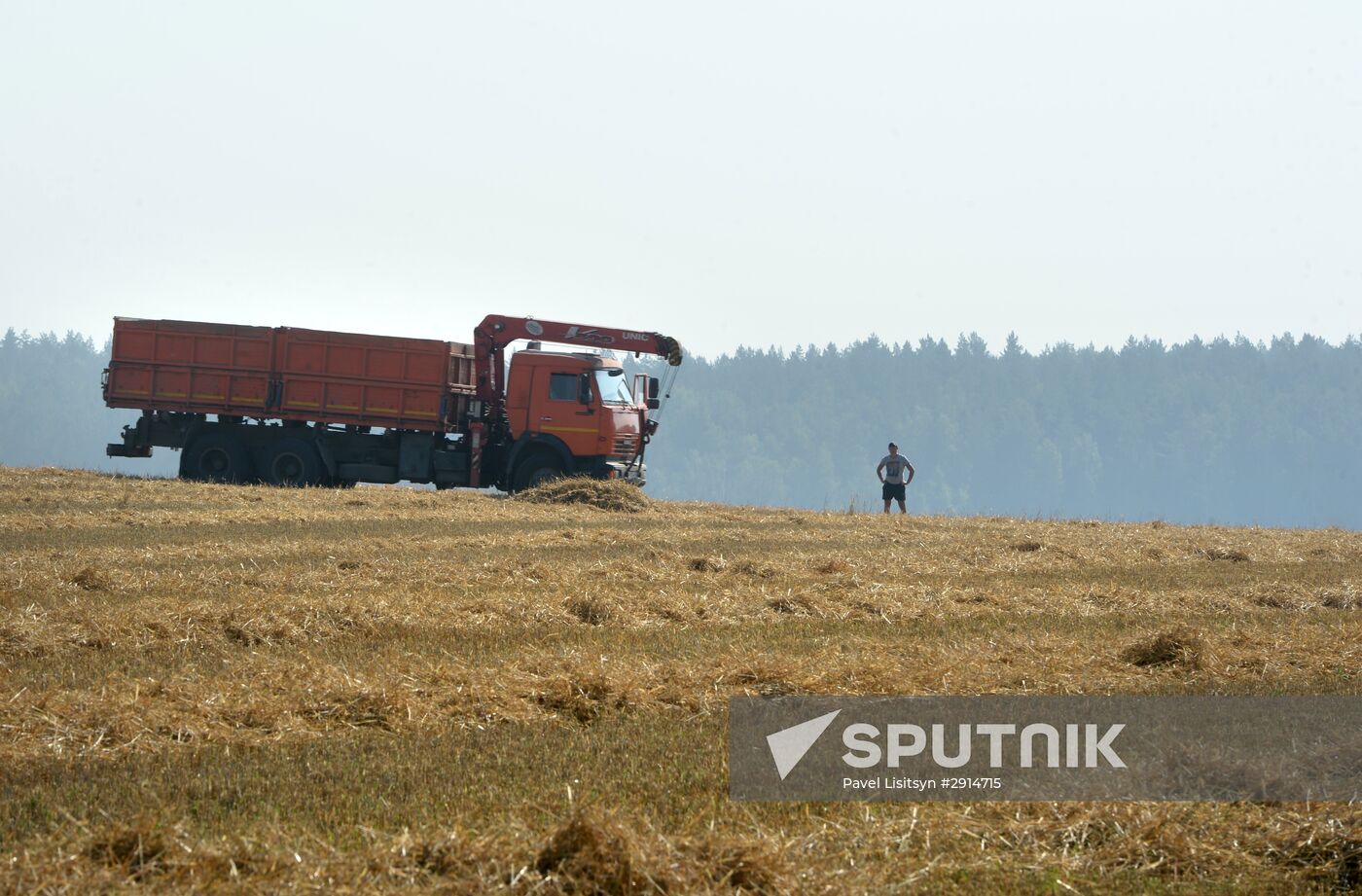 Crops harvesting in Sverdlovsk Region