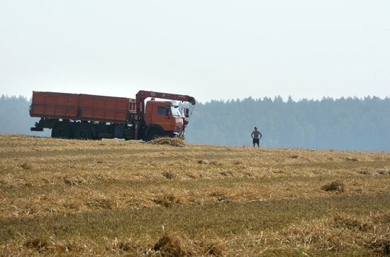 Crops harvesting in Sverdlovsk Region