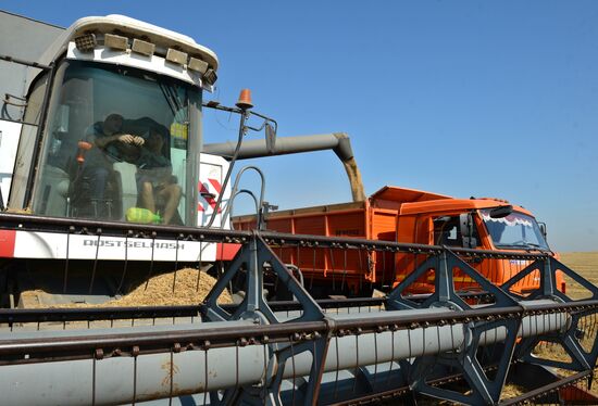 Crops harvesting in Sverdlovsk Region