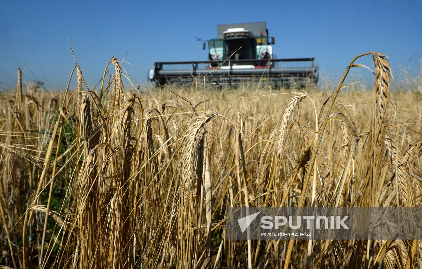 Crops harvesting in Sverdlovsk Region