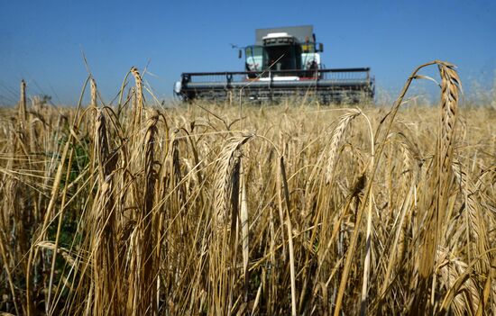 Crops harvesting in Sverdlovsk Region