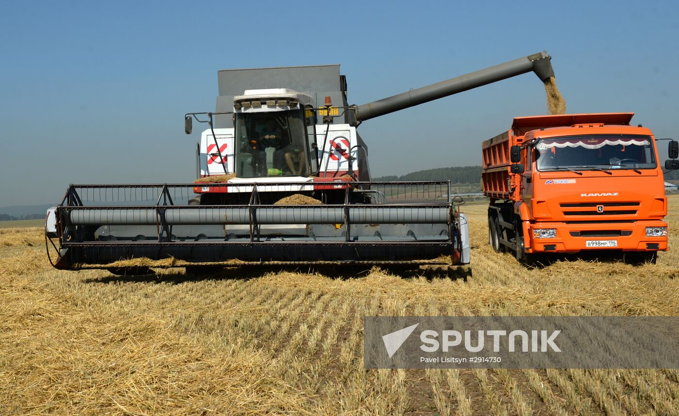 Crops harvesting in Sverdlovsk Region